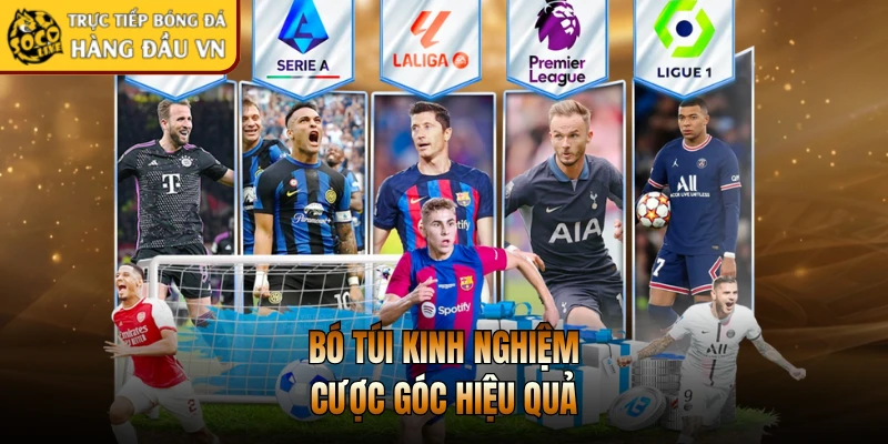 Bó túi kinh nghiệm cược góc hiệu quả