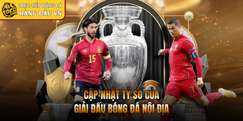 Cập nhật tỷ số của giải đấu bóng đá nội địa