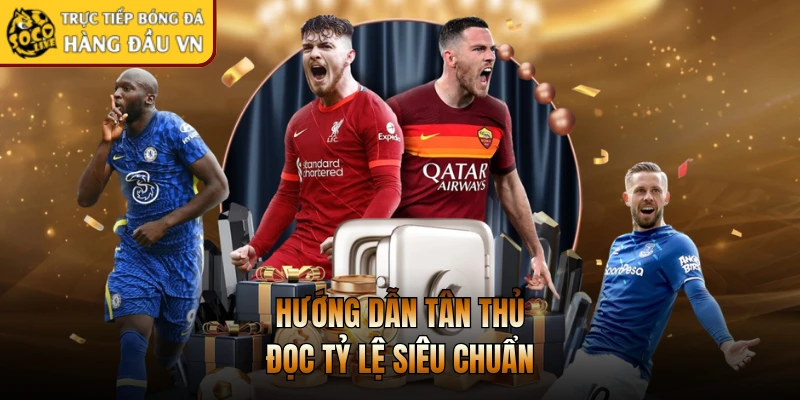 Hướng dẫn tân thủ đọc tỷ lệ siêu chuẩn