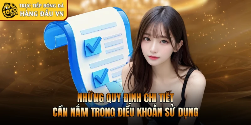 Những quy định chi tiết cần nắm trong điều khoản sử dụng