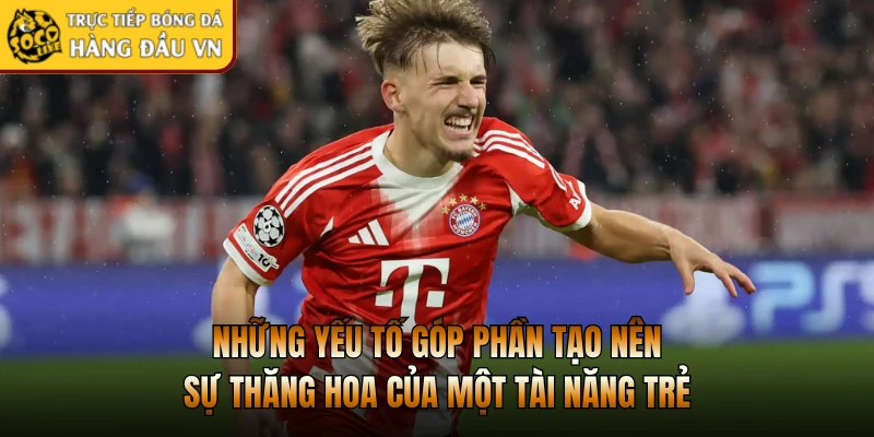 Những yếu tố góp phần tạo nên sự thăng hoa của một tài năng trẻ