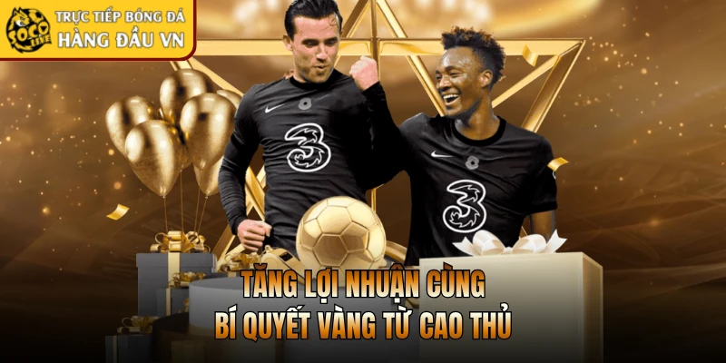 Tăng lợi nhuận cùng bí quyết vàng từ cao thủ